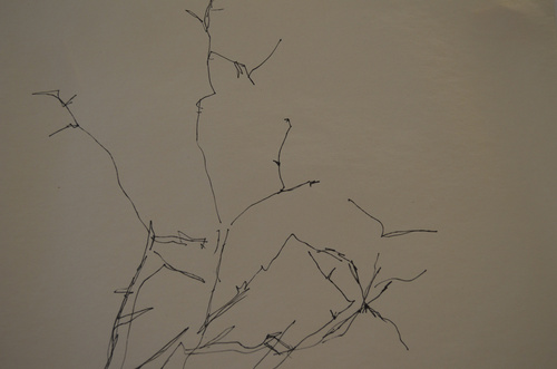 Prickle Bush   Traced