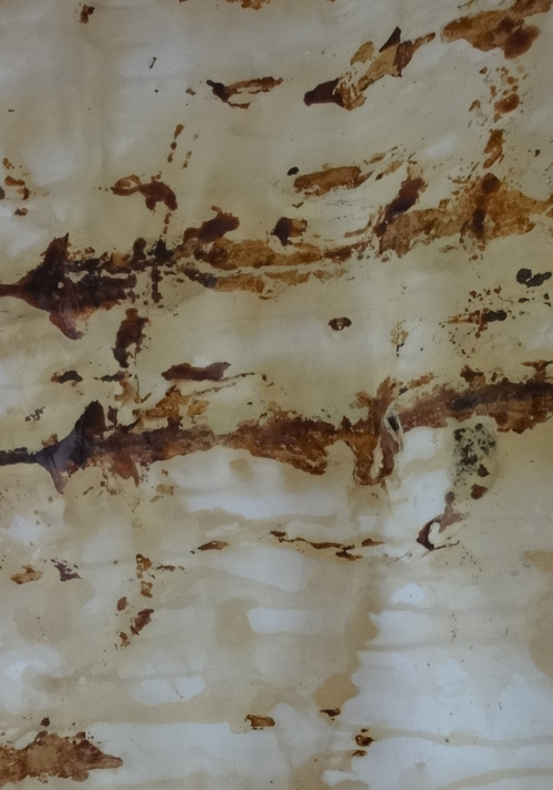 Treestain On Paper