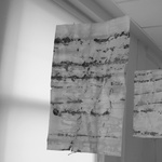 Treestain On Paper