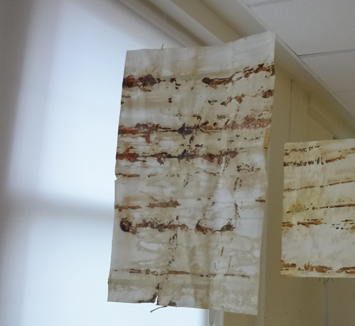 Treestain On Paper