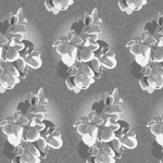 Petal Tango