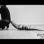 Asis (Side View)