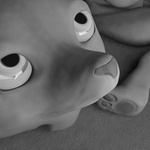 Vulpus Vulpus