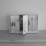 Curisoity #2, 2010. Mixed Media