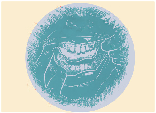 Peering In The Mouth Mirror