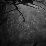 Burnt Immersement Ii