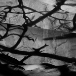 Shadow Play