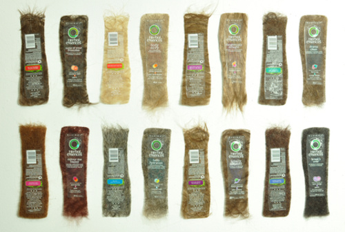 Shampooed & Conditioned