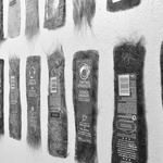 Shampooed & Conditioned Detail