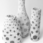 Trichome Vessels