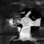 Temporal Cross