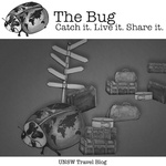 The Bug Logo And Concept Drawing