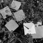 Note Cards
