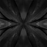 Kaleidoscope