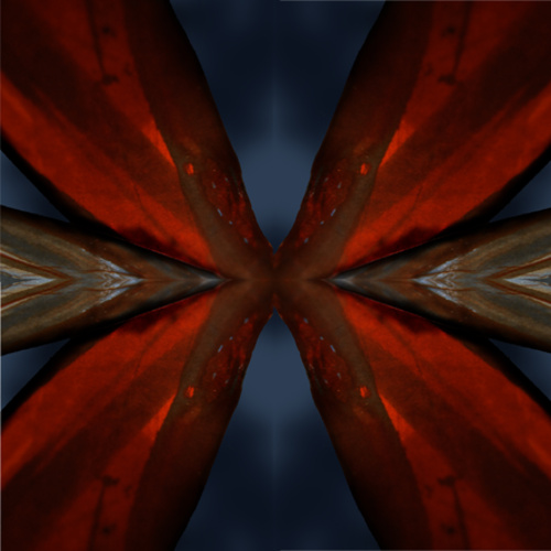 Kaleidoscope