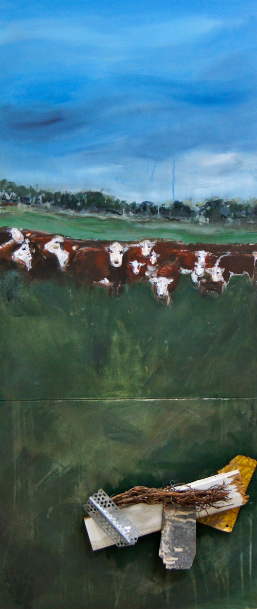 Herefords