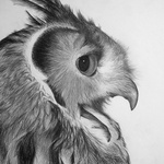 Indian Eagle Owl