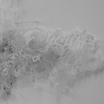 Sofa (Detail)