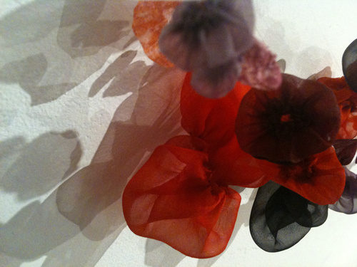 Tempero Mosso (Detail)