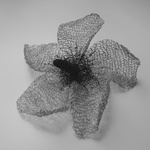 무궁화, An Exploration Of Mimesis, Beauty And Mortality.