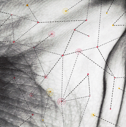 Our Cellular Constellations: Arcturus
