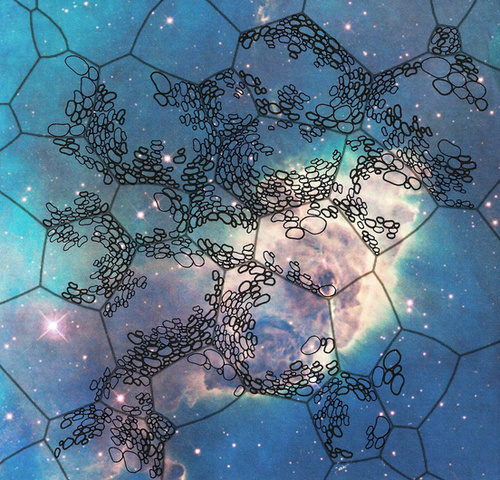 Our Cellular Constellations: Polaris