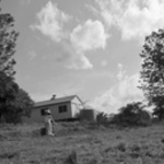 Heath Paddock, Grose Vale (After Mc Cubbin), 2011.