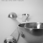Be Connected   Spoon Series