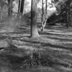 The Pioneer (After Mc Cubbin), 2011.