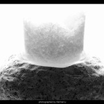Sand Stone