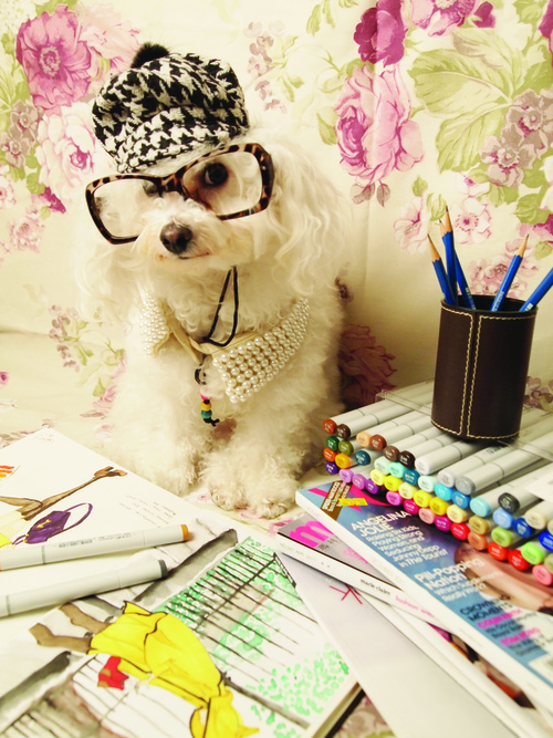 The Humanized Dog