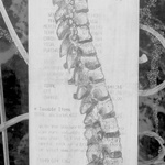 Street Skeleton Reciepts (No.27)