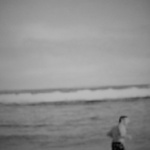 Shark Bay Swim