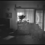 An Important Place: Woodcourt Rd #3