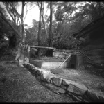 An Important Place: Woodcourt Rd #5