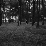 Untitled #2