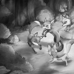 Forest Clearing