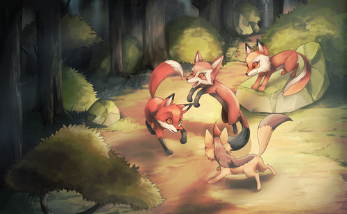 Forest Clearing