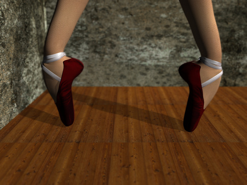 3 D Ballet Shoes