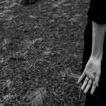 Untitled #3