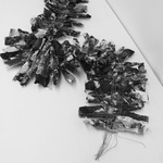 Fruiting