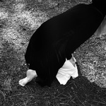 Untitled #5