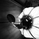 A New Life