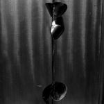 A New Life