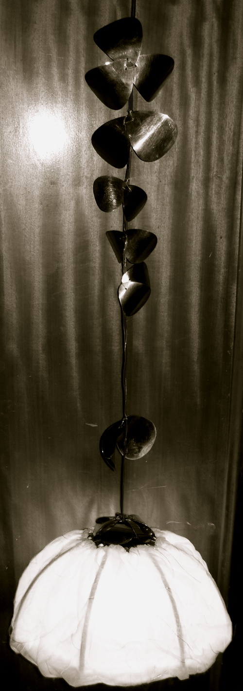 A New Life