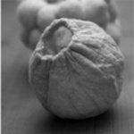 'Untitled' 2009 (From 'Momento' Collection.)
