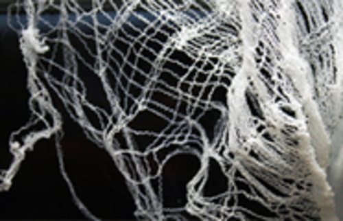 'Untitled' 2010 (From 'Remains To Remind' Collection)
