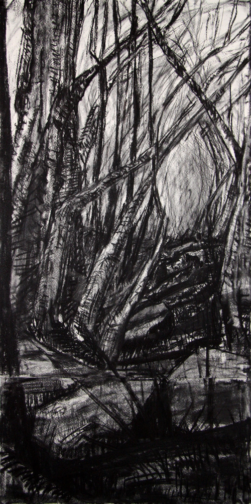 Closed Canopy (Study)
