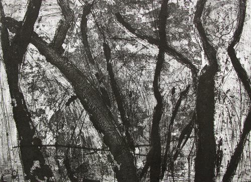 Study 2 For Large Etching