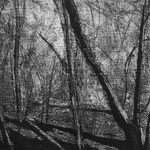 Study 1 For Large Etching